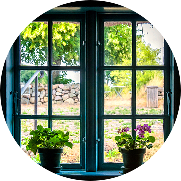 achter de geraniums in het venster, uitzicht uit het raam van Hanneke Luit