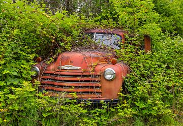 Verroeste pick-up truck ergens in Idaho, Verenigde Staten van Adelheid Smitt