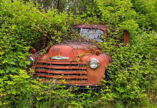 Verroeste pick-up truck ergens in Idaho, Verenigde Staten