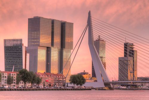 De Rotterdam 