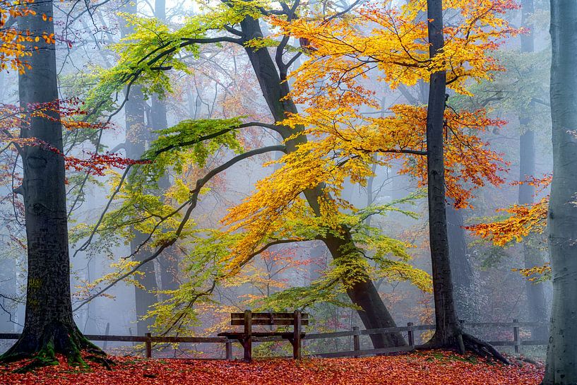 Take a Seat and Enjoy II by Lars van de Goor