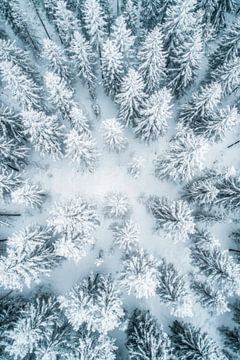 Winter boszicht van Poster Art Shop