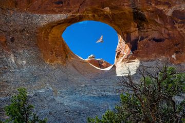 fenêtre dans Arches National Park, Utah sur Rietje Bulthuis