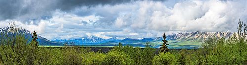 Panorama van bergtoppen in Yukon, Canada
