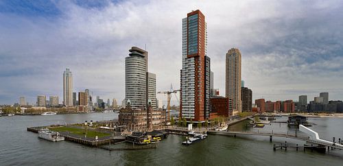 Rotterdam from the Fenix