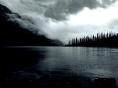 Medicine Lake by Anke van Beurden thumbnail