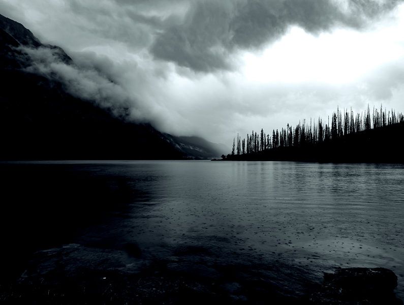 Medicine Lake by Anke van Beurden