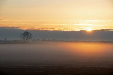 Avondmist in de polder,  De Braakman, Zeeuws-Vlaanderen van Anne Hana