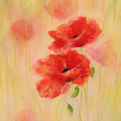 Leuchtend rote Mohnblumen im Quadrat von Karen Kaspar