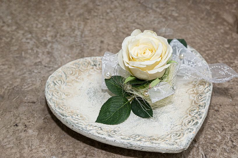 witte roos van Thomas Heitz