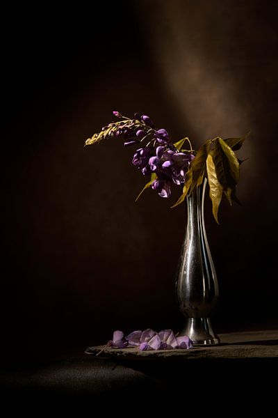 Stillleben Glyzinie von Wilfried Roovers