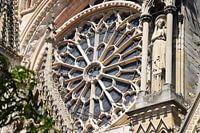 Detail of Beauty - Notre-Dame de Reims