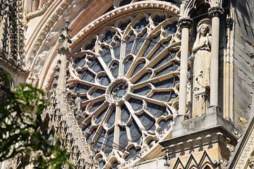 Detail van Schoonheid - Notre-Dame de Reims van Ingrid de Vos - Boom