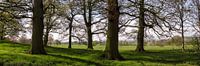 Panorama in Lake District