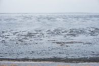 The endless Wadden Sea near Moddergat, Friesland by Denise Tiggelman thumbnail