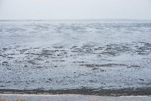 De eindeloze Waddenzee bij Moddergat, Friesland