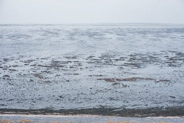 La mer des Wadden sans fin près de Moddergat, en Frise sur Denise Tiggelman