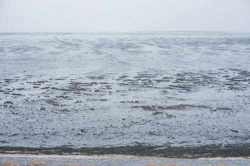 De eindeloze Waddenzee bij Moddergat, Friesland