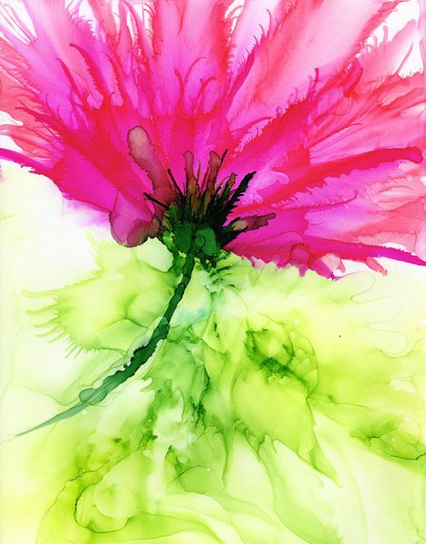 Fleur par Jolanda Berbee
