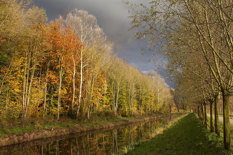 Automne Biesbosch par Ronald Dijksma