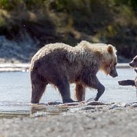 Katmai National Park