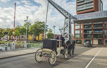 Brug den Ophef