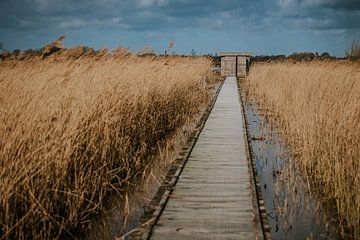 Vogelkijkhut Skiertsjilling van Nickie Fotografie