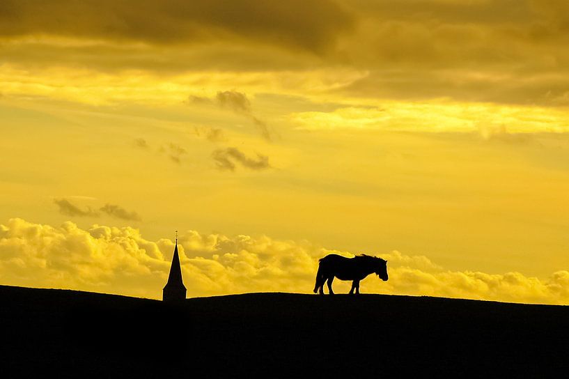 Pony on a dike / Pony on a dike by Henk de Boer