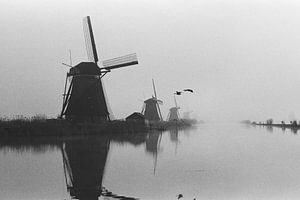 Nebel in der Nähe von Kinderdijk