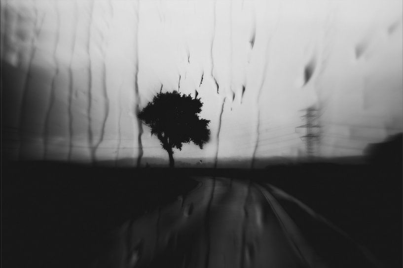 Route par David Pichler