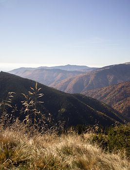 Les montagnes de Roumanie