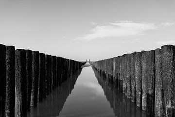 Reflecties aan de kust van Maikel Brands