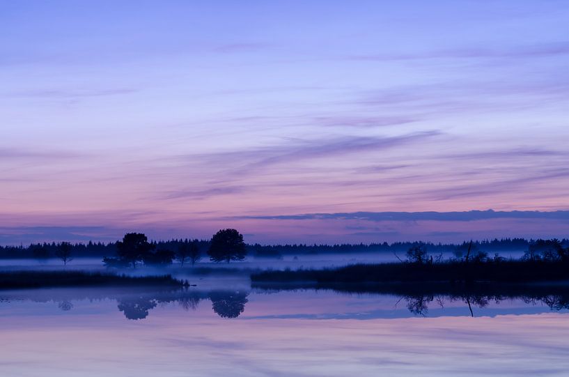 Strabrechtse Heide 156 by Deshamer