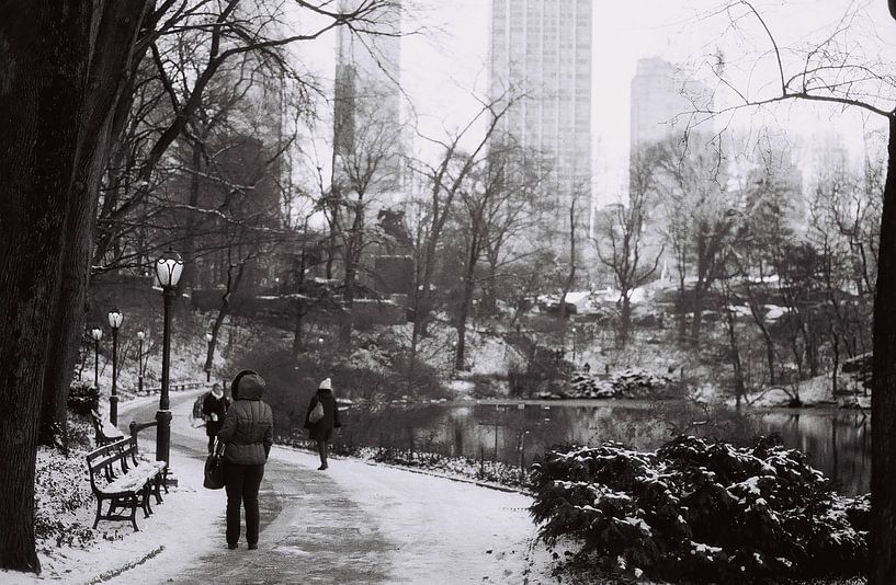 Sneeuwval in Central Park, New York (analoog) zwart wit van Lisa Berkhuysen