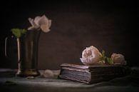 Winterrosen von Regina Steudte | photoGina Miniaturansicht