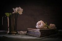 Winter Roses