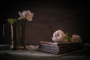 Roses d'hiver