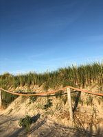 Dunes of Texel