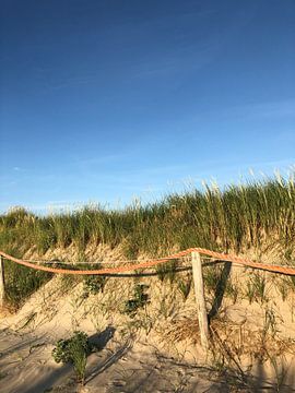 Duinen Texel van tania mol