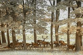 Et l'humeur était bonne