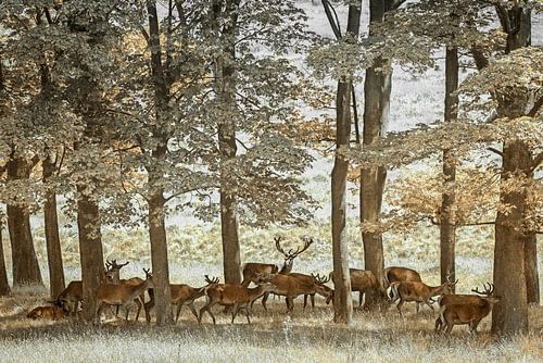 And the Mood was Good van Lars van de Goor