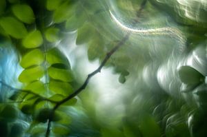 Eine frische grüne Fantasie