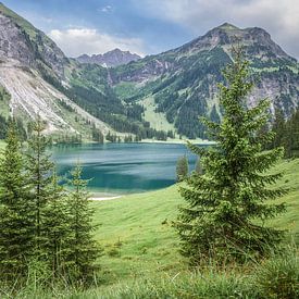 Aan de Vilsalpsee in Tirol van Steffen Gierok