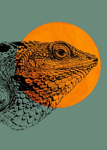 Art minimal #minimal iguane de la vie