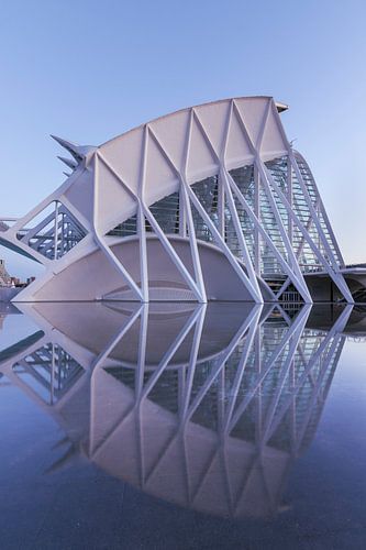 Wetenschapsmuseum Valencia tijdens het blauwe uurtje