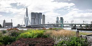 Rotterdam, ville mondiale, sur la Meuse en été sur Chez Michel