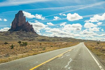 Eenzame rots in monument valley van Heleen Pennings