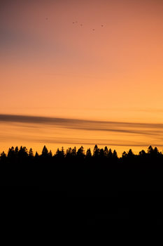 Zonsondergang tijdens een mooie winterdag in Trondheim, Noorwegen. Mooi licht-schaduwspel en minimalistisch op een pure manier.