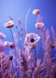 Fleurs sauvages sur haroulita