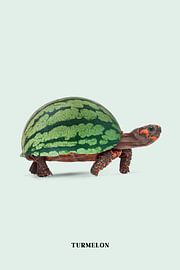 Turmelon sur Jonas Loose